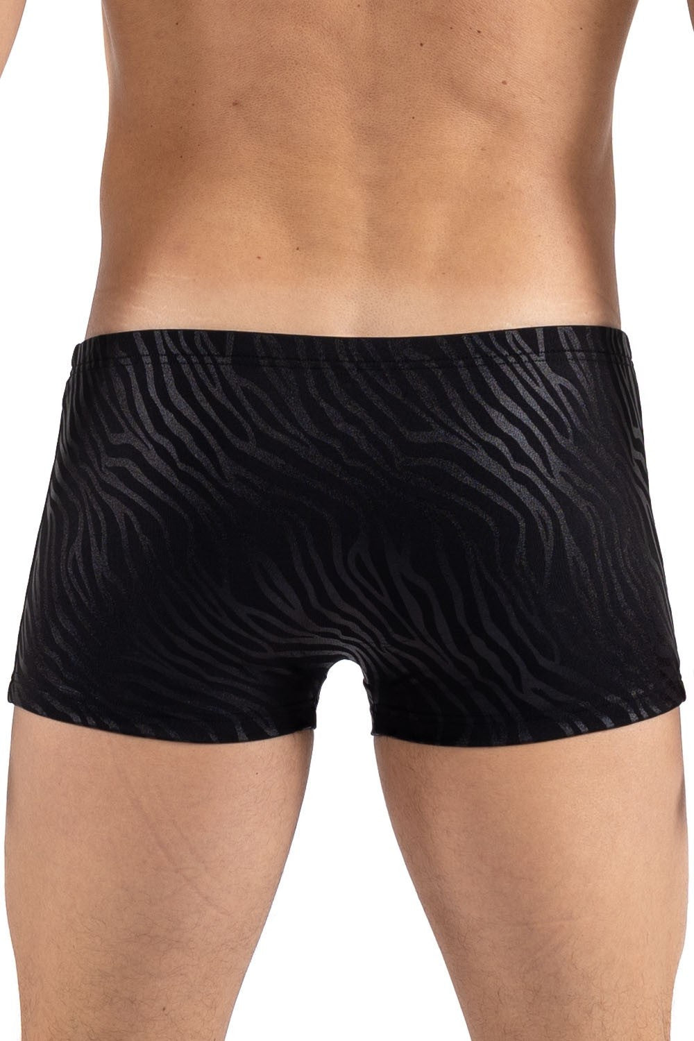 Boxer zébré aux reflets brillants Zebra noir et doré Look Me