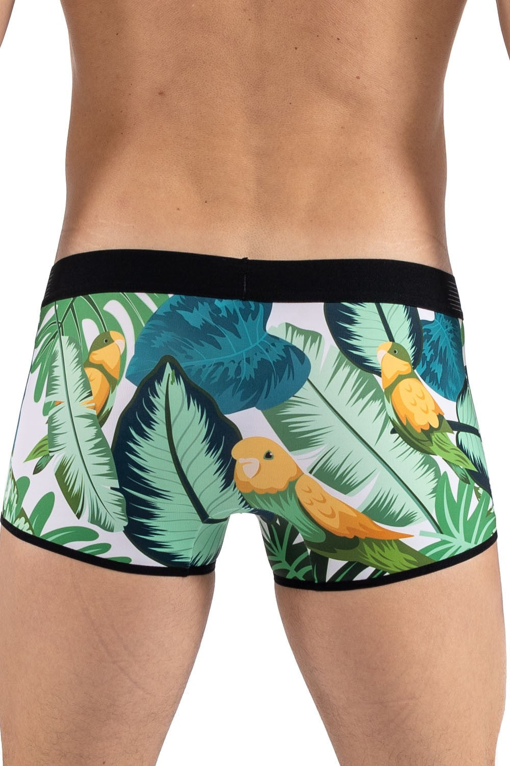 Boxer imprimé exotique oiseau chanteur Bird Singer Look Me