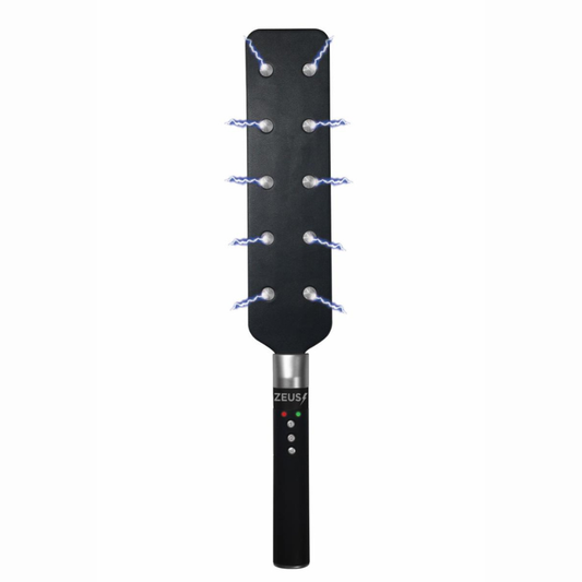Paddle électrostimulation BDSM 2 en 1 Zeus – détail face e-stim 10 pointes métal conductrices