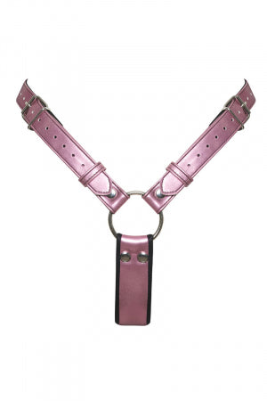 Strap-on-String avec godemiché · Bad Kitty · vue 4