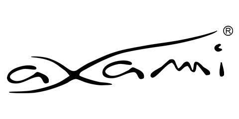 Logo Axami