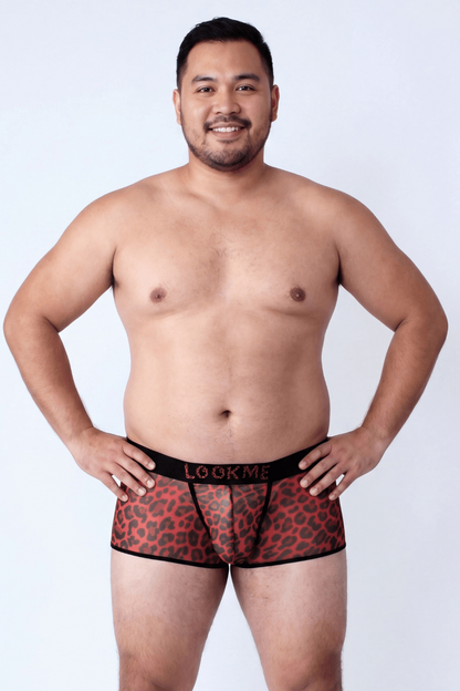 Boxer en résille transparente léopard rouge Look Me