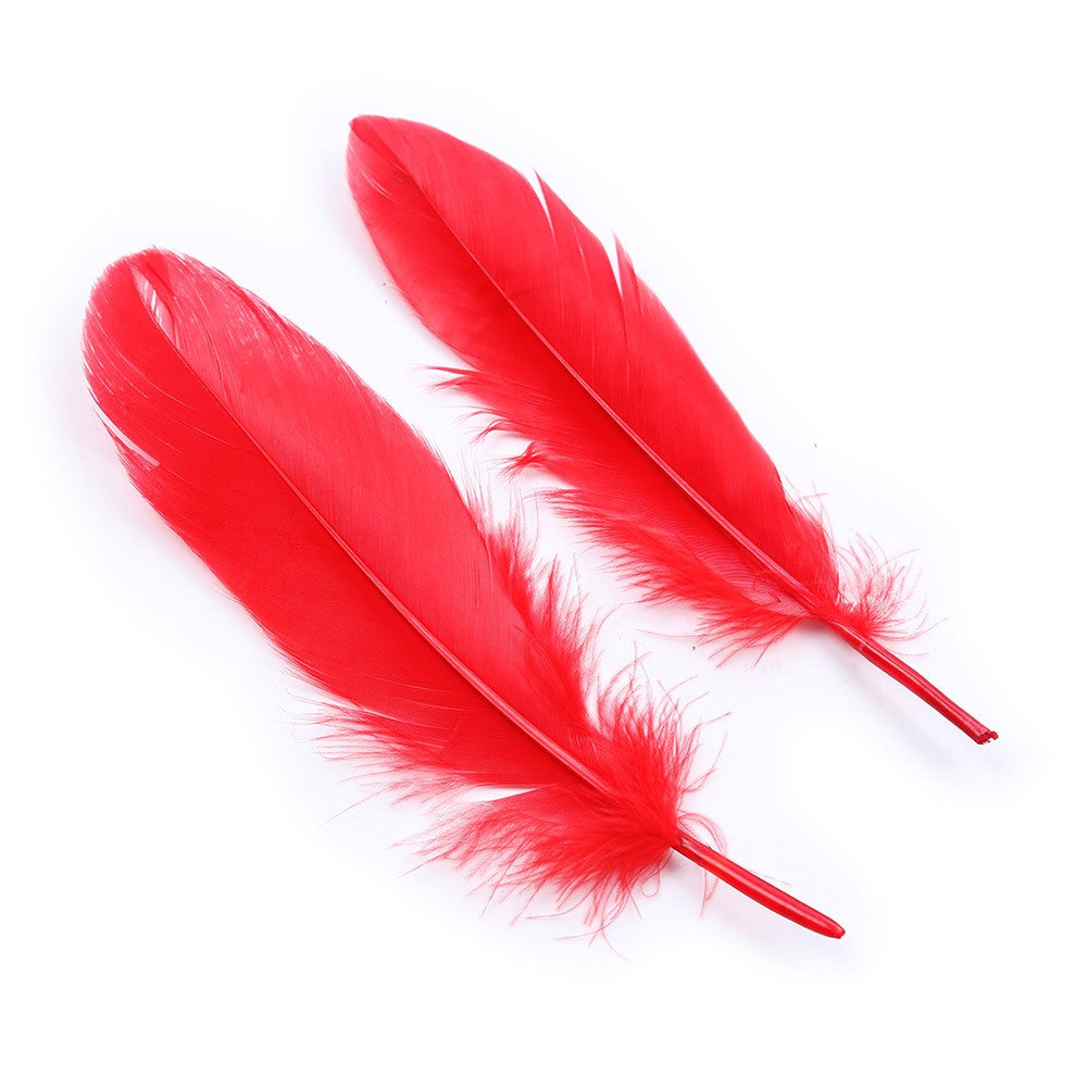 Kit coquin 4 pièces : Menottes, 2 plumes et masque rouge · Dreamy Fetish · vue 3
