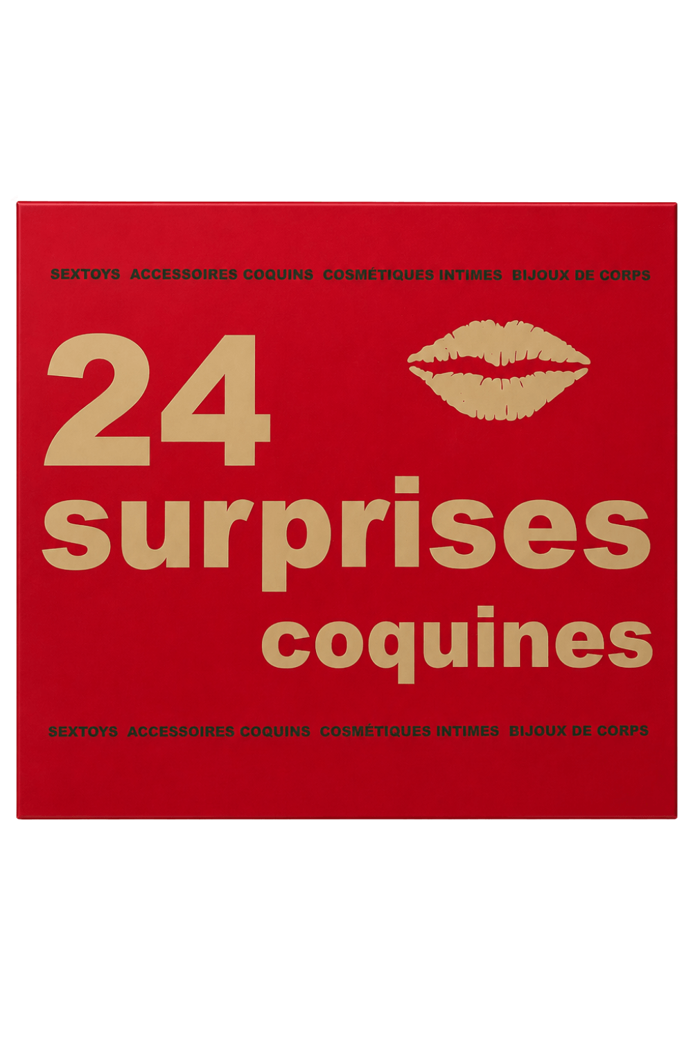 Calendrier de l’Avent érotique 24 surprises couple gay LollyDoll