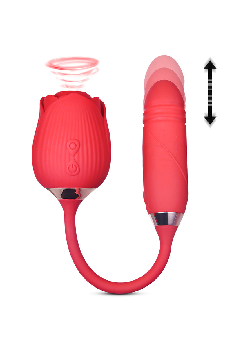 Stimulateur clitoridien va-et-vient et aspiration Blisslink DIK