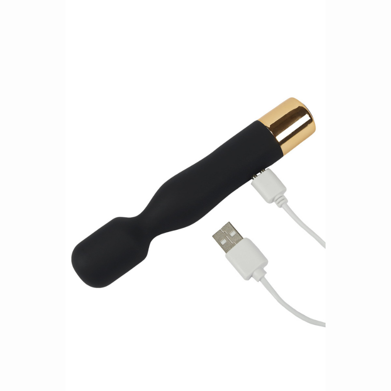 Vibro wand rechargeable New York câble USB magnétique Litolu