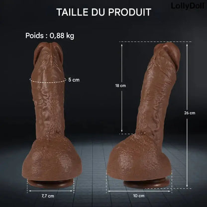 Gros gode ventouse noir de 26 cm taille avec dimensions et poids, produit LollyDoll.