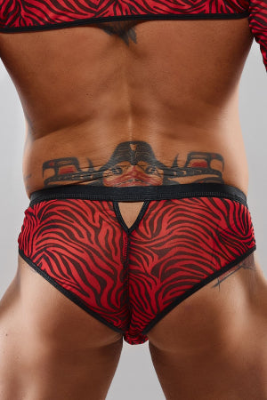 Slip type brésilien zébré rouge et noir · Regnes · vue 4