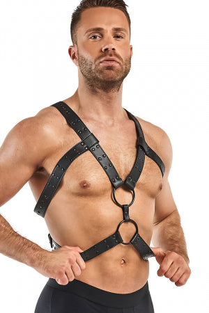 Harnais de bondage Rocco · Bedroom Fantasies · vue 2