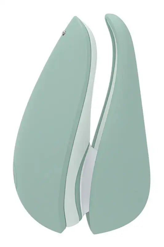 Stimulateur clitoridien Womanizer Liberty 2 vert à LollyDoll, design élégant et moderne. Coque aimantée et hygiénique