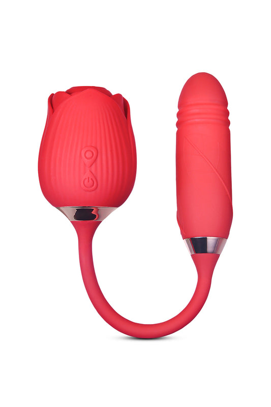 Stimulateur clitoridien va-et-vient et aspiration Blisslink DIK