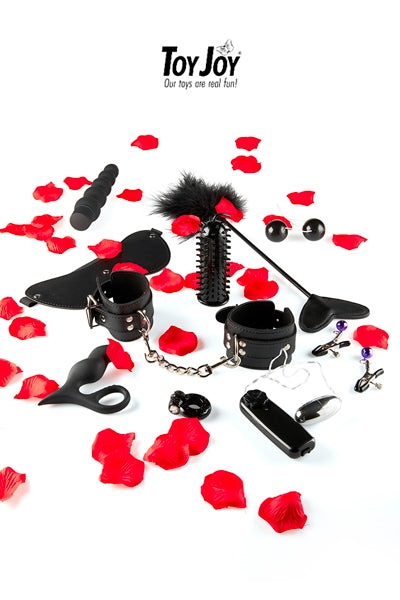 Coffret sextoys découverte LoveToy Starter Kit Toy Joy pour débuter 