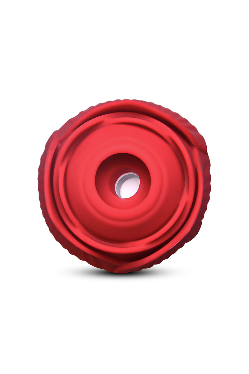 Stimulateur clitoridien va-et-vient et aspiration Blisslink DIK